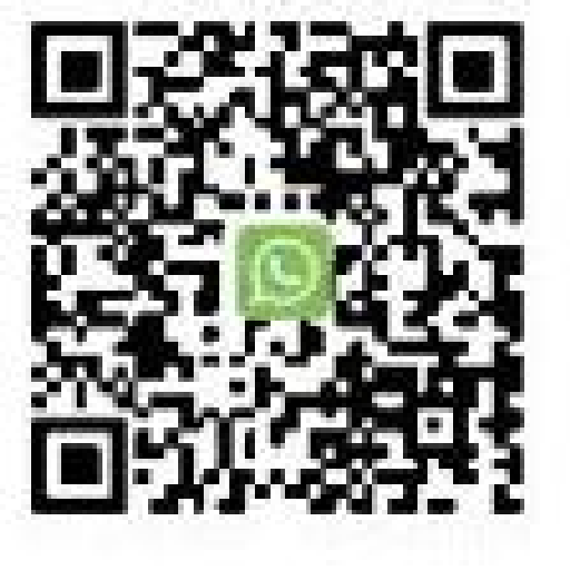 WhatsApp 即時查詢 QR Code
